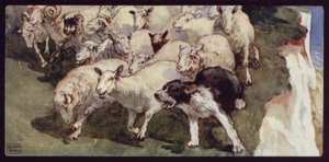 Perro Pastor Bobtail y Rebaño en los Acantilados de Edwin Noble