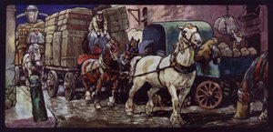 Caballos Clydesdale trabajando