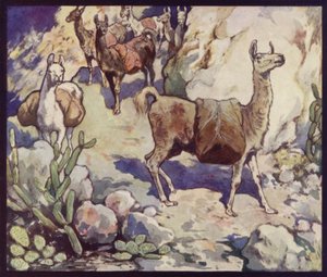 Llamas en los Andes