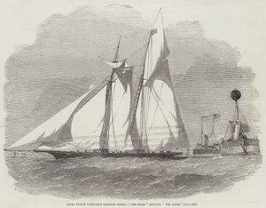 Regata del Royal Thames Yacht-Club, El Tiburón rodeando el faro Mouse