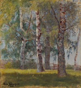  de Eero Järnefelt