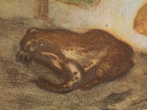 Rana con calta palustre de Eero Järnefelt