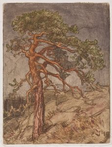  de Eero Järnefelt