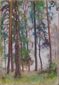  de Eero Järnefelt