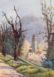 Suiza de Effie Jardine