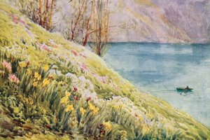 Suiza de Effie Jardine