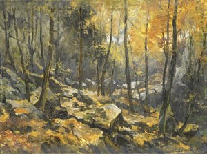 Felsenmeer de Egbert Rubertus Derk Schaap