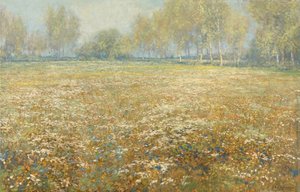 Pradera en flor