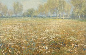 Pradera en flor