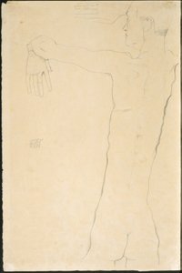Hombre desnudo con brazos levantados (recto) de Egon Schiele