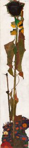 Girasol, 1909-1910 de Egon Schiele