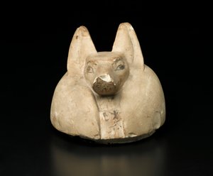 Tapa de jarro canopo con cabeza de chacal de Egyptian