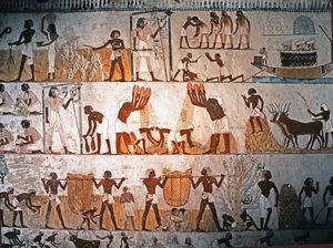 ARTE EGIPCIO: Escena de cosecha. Pintura mural en la Tumba de Menna en Elwe..., c. 1400 a.C. (piedra caliza) de Egyptian 18th Dynasty