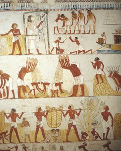 Tumba del supervisor de la finca real Menna, pinturas murales en el vestíbulo, trabajando en los campos de Egyptian 18th Dynasty