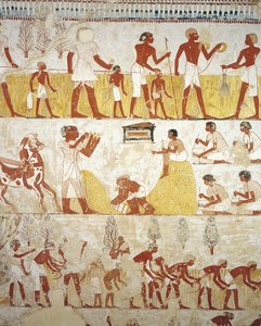 Egipto, Tebas, Luxor, Sheikh 