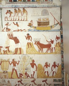 Egipto, Tebas, Luxor, Sheikh 