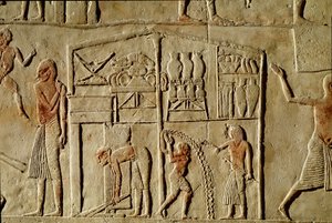 Antigüedad egipcia: “Los alimentos se almacenan en almacenes”. Relieve decorando una tumba de un alto funcionario de la XVIII dinastía. Bolonia, Museo Arqueológico Cívico