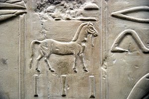 Antigüedad egipcia: representación de un caballo. Bajo relieve de la Tumba del Visir Ramose (dinastía XVIII). Luxor, Tebas, Valle de los Nobles Egipto