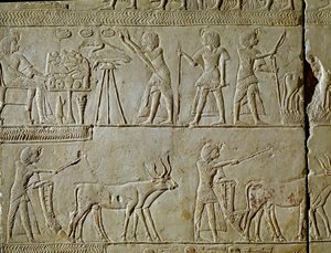 Antigüedad egipcia: escenas de trabajo en los campos y ofrendas al faraón. (detalle) de un relieve de la tumba de Horemhed (circa 1323-1293 a.C.) escriba real de Tutankamón. 1354-1326 a.C. Bolonia, Museo Arqueológico Cívico