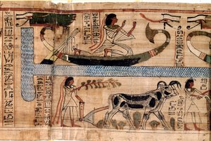 Antigüedad egipcia: el nombre del difunto Aner representado en el barco de Osiris, escena de arado y pesaje de almas (psicostasis). Papiro de un Libro de los Muertos, XX dinastía, de Tebas. Turín, museo egipcio