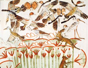 Pesca y caza en los pantanos, detalle de los pájaros, de la Capilla de la Tumba de Menna, Nuevo Reino (pintura mural)