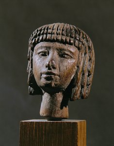 Cabeza de una niña nadadora