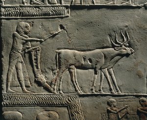 Horemheb arando la tierra en los Campos de Iaru. Relieve de la tumba de Horemheb en Saqqara, detalle. de Egyptian 18th Dynasty