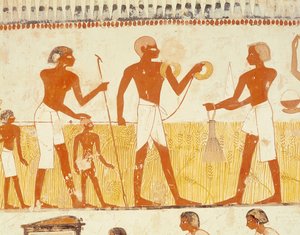 Midiendo la tierra usando cuerda, de la Capilla de la Tumba de Menna, Nuevo Reino