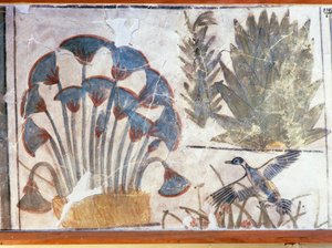 Pintura que representa un pato entre plantas, del palacio de Akhenaton, El-Awara, Egipto. de Egyptian 18th Dynasty