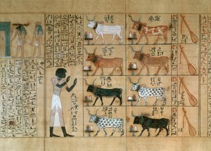 Papiro que representa bueyes, del Libro de los Muertos de Maiherperi de Egyptian 18th Dynasty