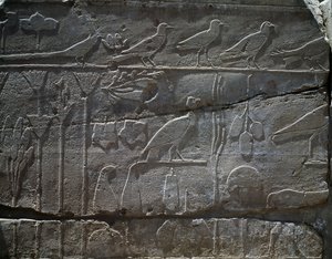 Plantas y animales traídos de la expedición de Tutmosis III a Siria en 1465 a.C., detalle del relieve, sala conocida como el llamado Jardín Botánico, Templo de Amón, Complejo del Templo de Karnak, Civilización egipcia, Reino Nuevo, Dinastía XVIII de Egyptian 18th Dynasty