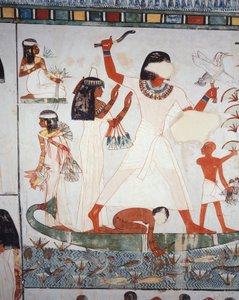 Escena de caza y pesca en los pantanos, fresco, pared norte, cámara longitudinal, Tumba Tebana TT69, Sheikh Abd el-Qurna, Tebas de Egyptian 18th Dynasty