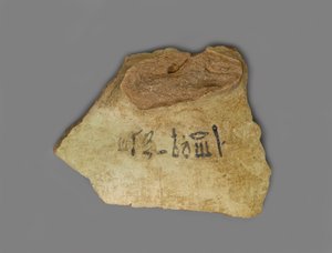 Etiqueta de vino, encontrada en el Palacio de Amenhotep III, Tebas, Nuevo Reino