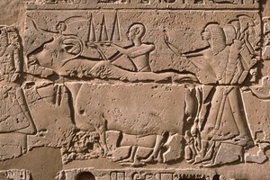 Relieve que representa a hombres guiando una vaca, patio de Ramsés II (1298-32 a.C.) (detalle)