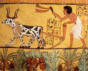 Egipto, antigua Tebas, Deir el-Medina, Tumba de Sennedjem, pintura mural que representa a Sennedjem arando los campos de Iaru. de Egyptian 19th Dynasty