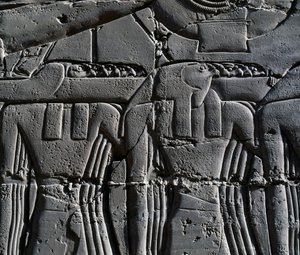 Sacerdote con máscara de halcón, detalle de la escena que representa a Ramsés II delante de la barca sagrada, relieve, paredes interiores de la Gran Sala Hipóstila, complejo del templo de Karnak (Lista del Patrimonio Mundial de la Unesco de Egyptian 19th Dynasty