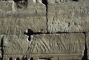Relieve, Templo de Amón, Luxor, antigua Tebas (Lista del Patrimonio Mundial de la UNESCO
