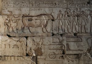 Relieve, Templo de Ramsés II, Abidos, Egipto, Civilización egipcia, Reino Nuevo, Dinastía XIX (foto)