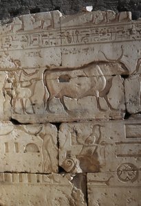 Relieve, Templo de Ramsés II, Abidos, Egipto, Civilización egipcia, Reino Nuevo, Dinastía XIX (foto) de Egyptian 19th Dynasty