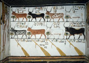 Siete vacas celestiales, toro esposo y cuatro remos de dirección, capítulo 148 del Libro de los Muertos (detalle) de Egyptian 19th Dynasty