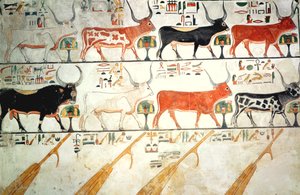 Las siete vacas celestiales y el toro sagrado y los cuatro timones del cielo, de la Tumba de Nefertari, Nuevo Reino (pintura mural) de Egyptian 19th Dynasty