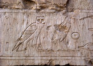 Antigüedad egipcia: relieve representando un búho y un águila. Tumba de Ankh-Hor (Ankh Hor) (TT414) (Dinastía XXVI, 672-525 a.C.), Luxor (Tebas), Egipto