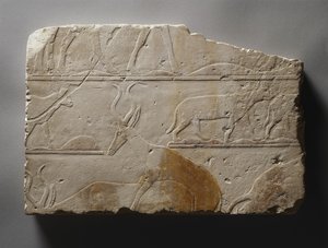 Relieve con animales del desierto, Reino Antiguo, encontrado en Saqqara, c.2472-2455 a.C.