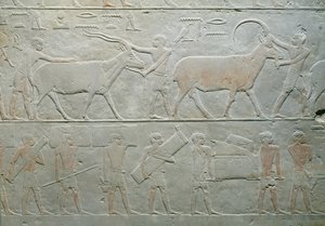 Sirvientes conduciendo un oryx y un antílope y otros llevando equipaje, de la Mastaba de Akhethotep, Saqqara, Reino Antiguo, c.2400 a.C. (caliza pintada)