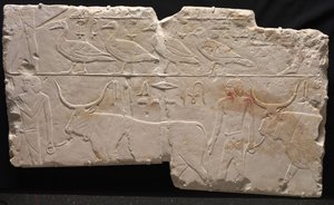 Relieve de hombres trayendo aves y ganado, c.2311-2281 a.C. de Egyptian 6th Dynasty