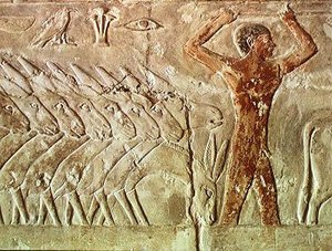 Tropa de burros, de la Mastaba de Mereruka, Reino Antiguo