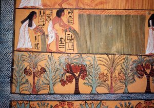 Escena de cosecha (pintura mural) de Egyptian Egyptian