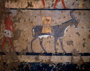 Antigüedad egipcia: el transporte de grano en el lomo de una mula. Pintura al temple en la pared de la tumba del canciller del rey Iti (o Ity) 2200-2000 a.C. De El Ghebelen, Luxor. Turín, Museo Egipcio de Egyptian Egyptian