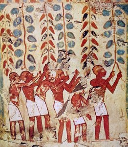 Pintura mural de una tumba egipcia