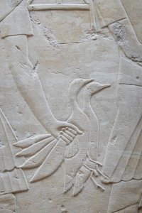 Mano sujetando 2 ocas por las alas, tumba de Ramose de Egyptian Egyptian